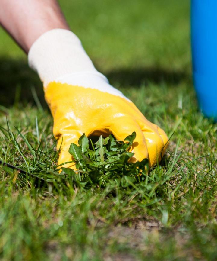 Opération de débroussaillage soigneusement réalisée.