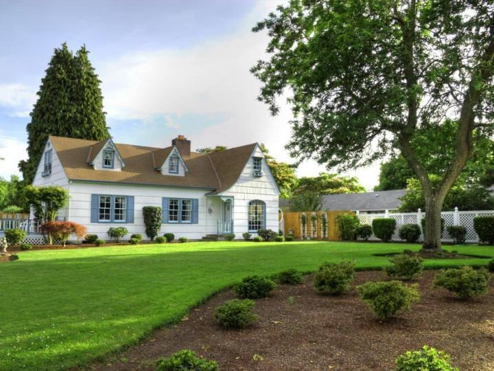 Opération de débroussaillage Meaux