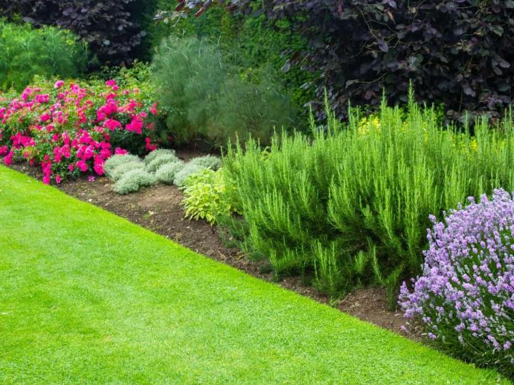 Paysagiste expérimenté Meaux